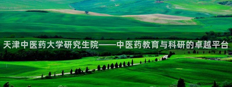 九游会官网真人认证吗