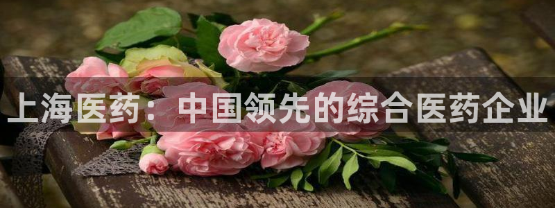 ag老队