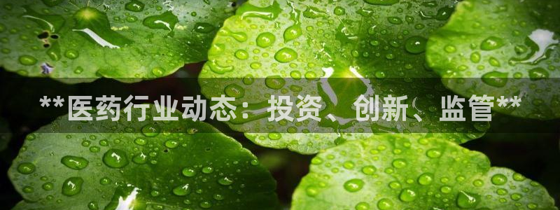 九游会官方选网址是j9.cm