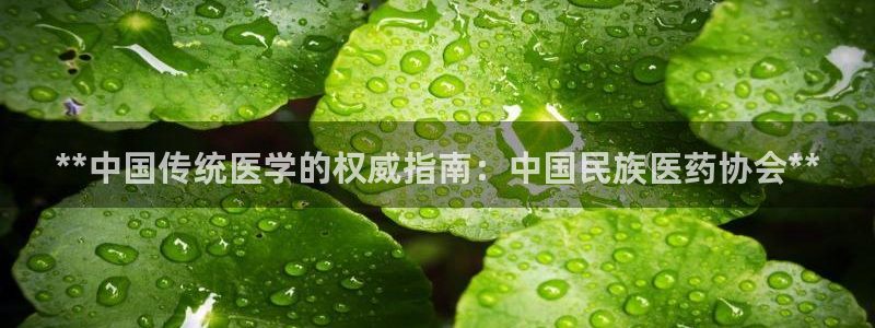 九游会官网网页版