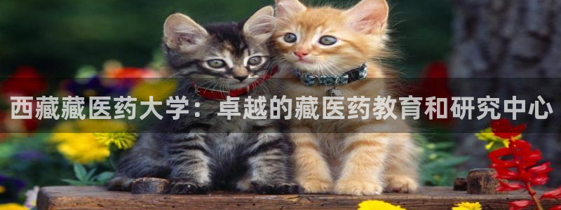 ag九游会登录j9入口