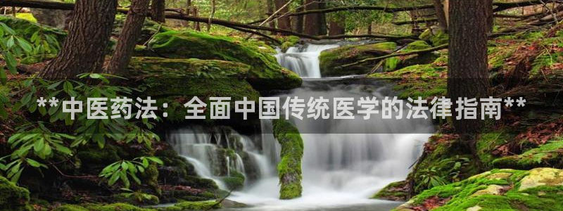 九游会官方链接