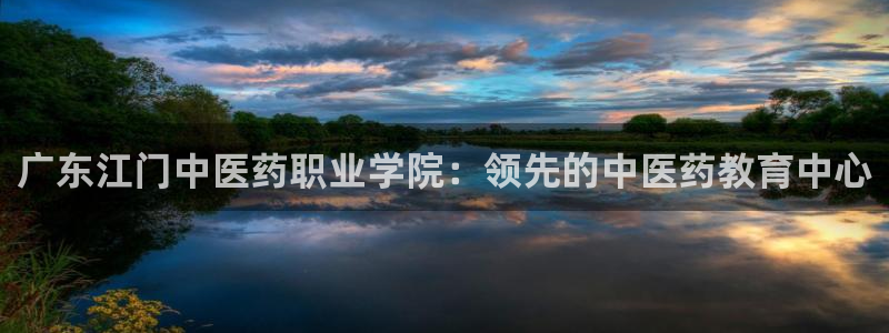 九游会官网jy