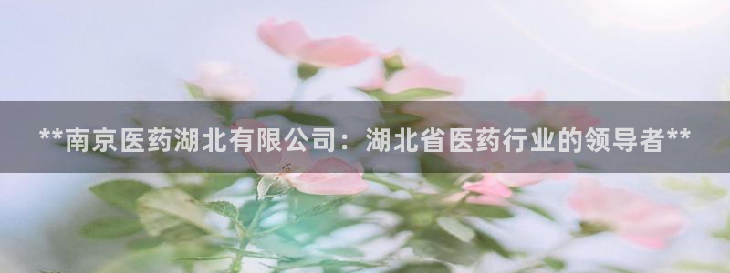 j9九游会官网入口
