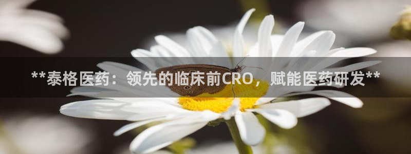 j9九游会买u多少一个