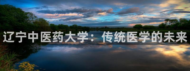 九游会j9全站平台