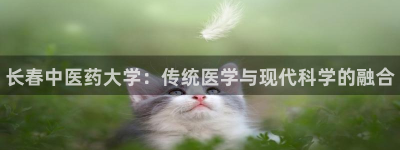 九游会视讯,九游会视讯官网