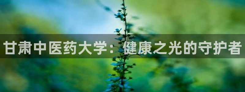 九游会官网j9j9