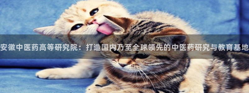 九游会官网首页入口