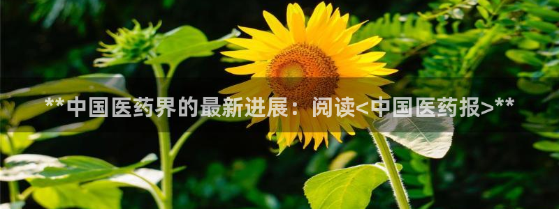 九游会国际站