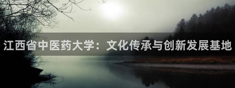 9游会ag