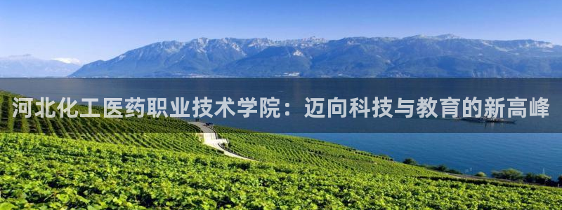 九游会AG在线平台
