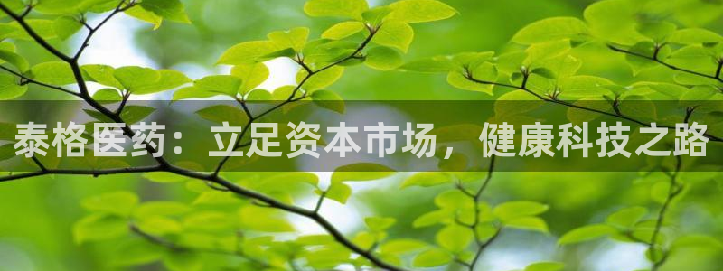九游会app下载版官网正版安卓