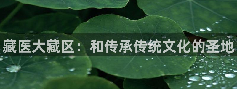 J9九游会国际