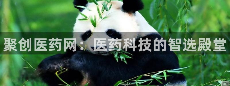 九游会首页登陆