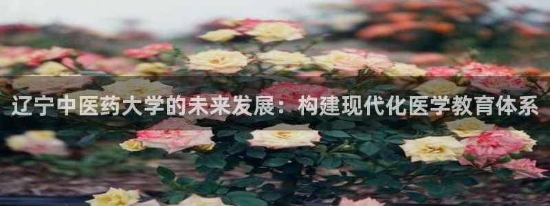 j9九游会平台信誉怎么样