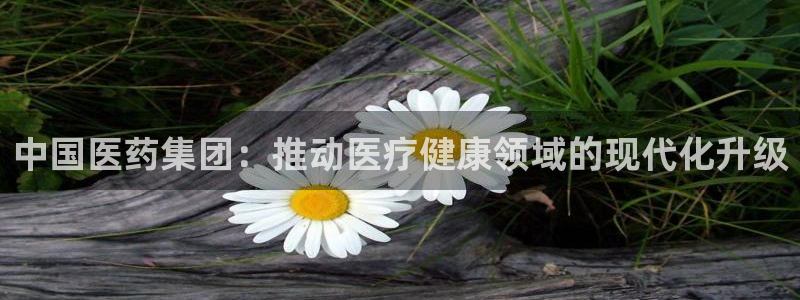 九游会国际厅