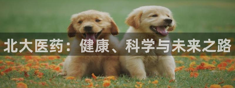 j9九游会老哥俱乐部
