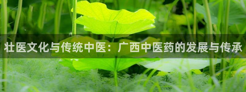 九游会官网多少