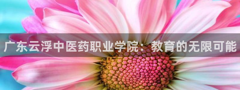 九游会最新网站
