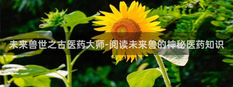 九游会官网j9j9
