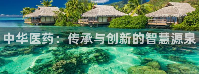 j9九游会入口