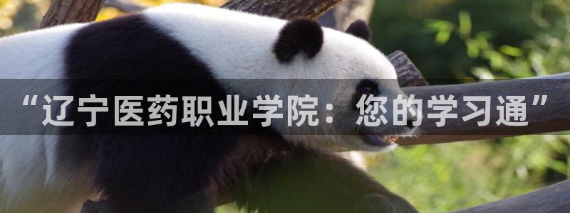 ag久游会