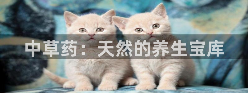 九游会ag真人官网在哪