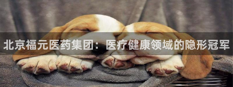 j9九游会黑网