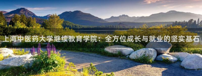 九游会是一个什么网站啊